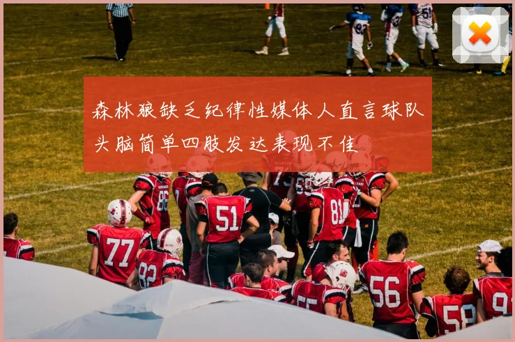 森林狼缺乏纪律性媒体人直言球队头脑简单四肢发达表现不佳