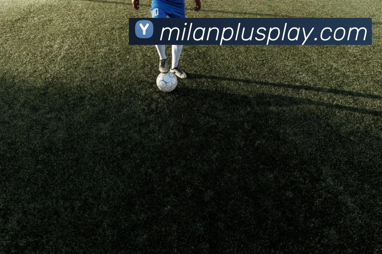 米兰体育平台生态图