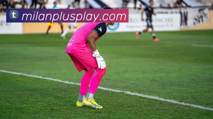 米兰体育全站App